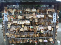 087鷲宮神社絵馬掛け所7