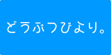 どうぶつびより。