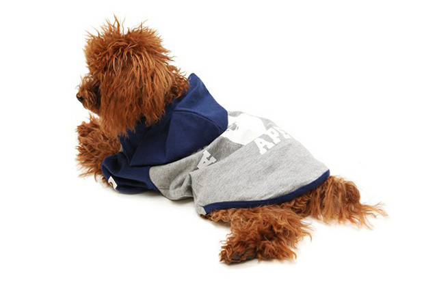 A Bathing Ape 2010 Fall/Winter Dog Store Collection : SKOOL OF DAZE