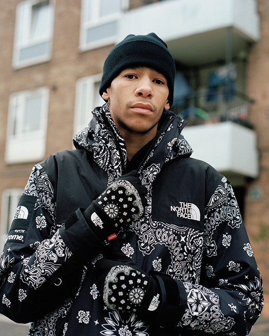 SUPREME THE NORTH FACE 2014 FW BANDANA COLLECTION : SKOOL OF DAZE