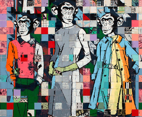 faile Fashion Chimps