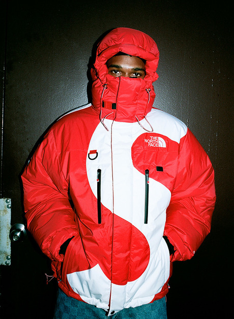 SUPREME X THE NORTH FACE SUMMIT SERIES HIMALAYAN PARKA