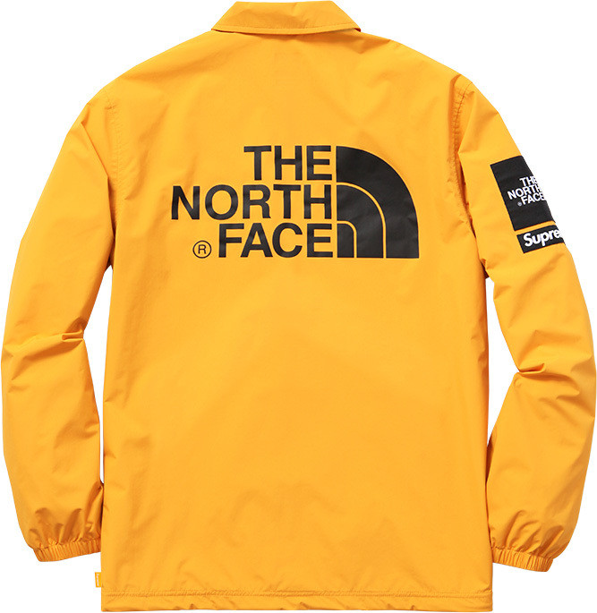 SUPREME THE NORTH FACE 2015 SS COLLECTION : SKOOL OF DAZE
