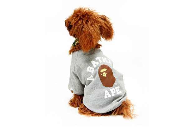 A Bathing Ape 2010 Fall/Winter Dog Store Collection : SKOOL OF DAZE