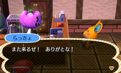 HNI_0010