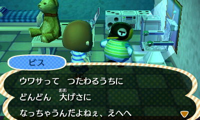 HNI_0073.JPG