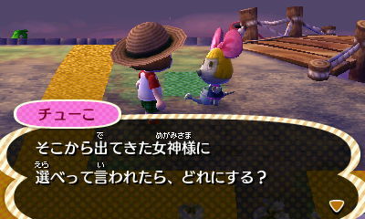 HNI_0022.JPG