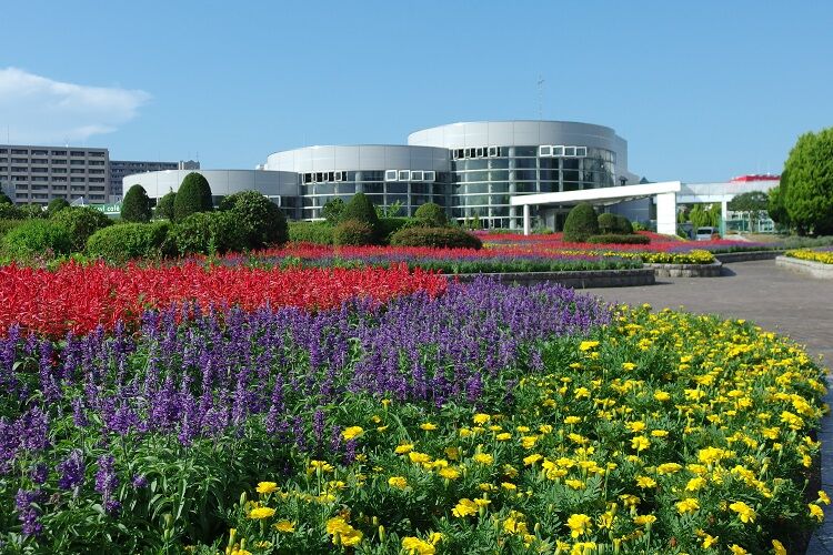 今 見られるきれいな花 絵画コンクール 仙台市 緑化推進事業