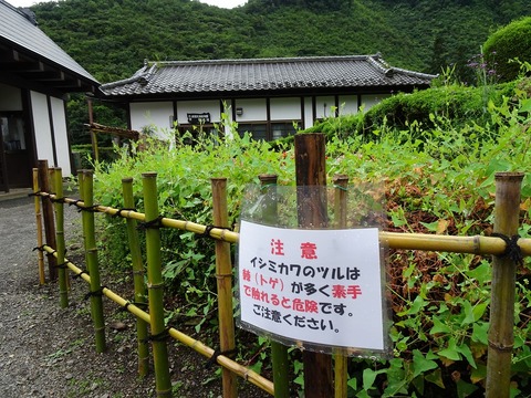 イシミカワ注意DSC03194