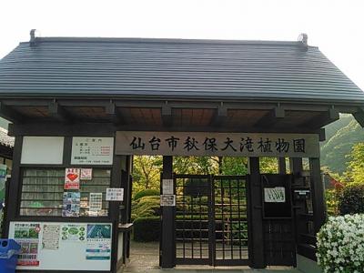 入口