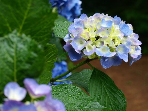 P7027664_R