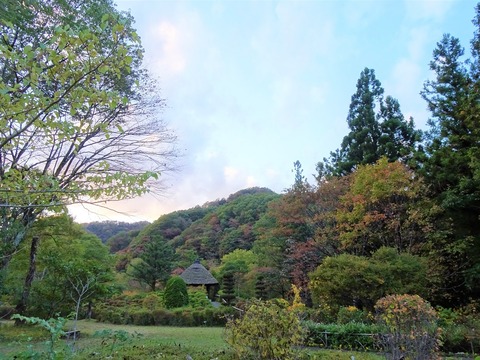 2019.10.28DSC03487 (2)