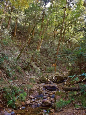 DSC_0044 (769x1024)