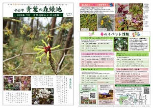 2019年3月