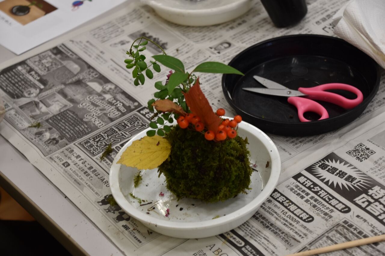 10 30 土 コケ玉 作品集 青葉の森緑地