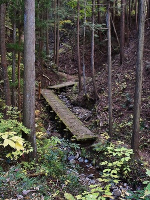 DSC_0078 (768x1024)