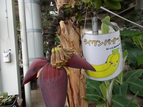 DSCN8470