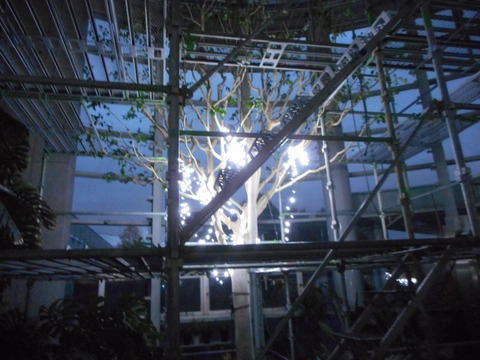 DSCN7598