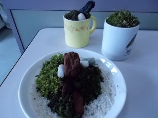 DSCN3591