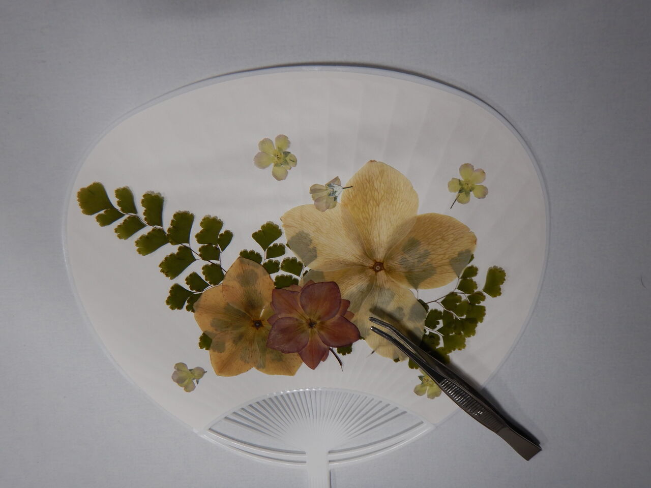 クラフトカフェ 押し花のうちわ を開催しました 七北田公園都市緑化ホール