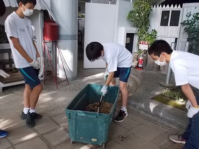 DSCN3742