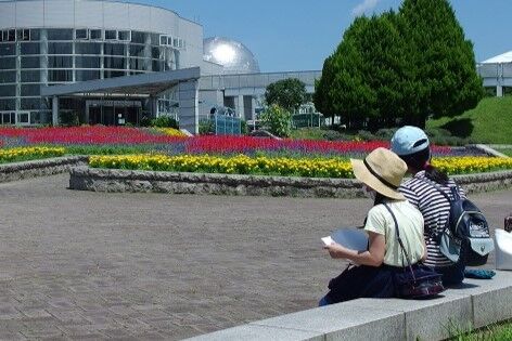 緑化ホール花壇2