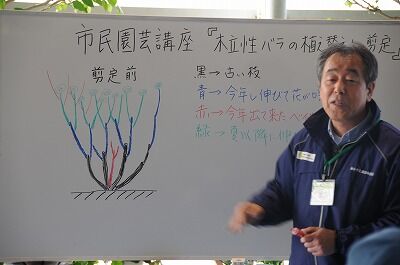 木立性バラの剪定と植替え 七北田公園都市緑化ホール