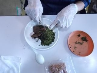 DSCN3586