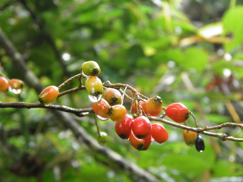 P9290235