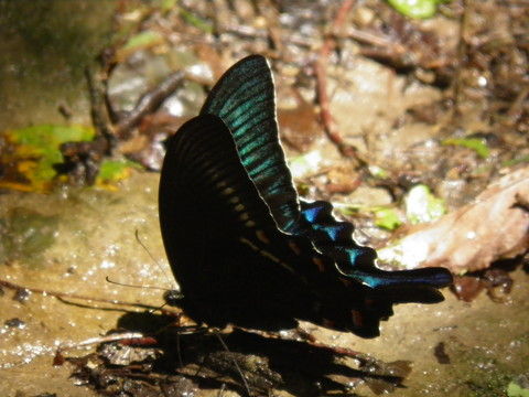 P8230776