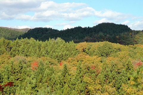 DSC_0473 (800x532)