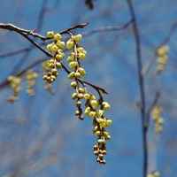 3月ブログ画像 (14)