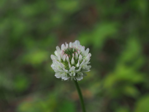 P6025833
