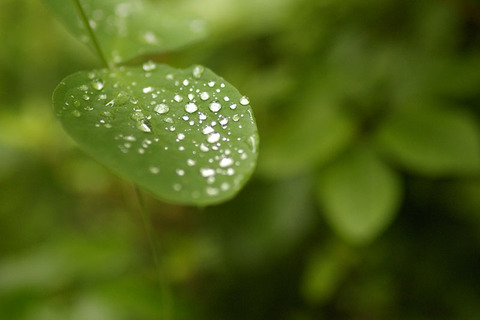 水滴