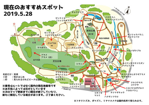 20190528おすすめスポ