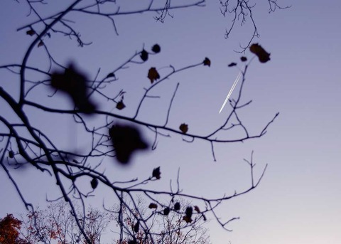 飛行機雲