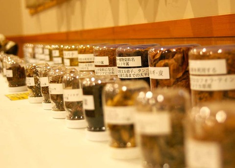 草木染め展②