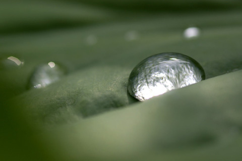 水玉