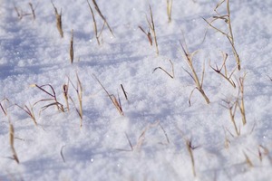 雪景色⑩