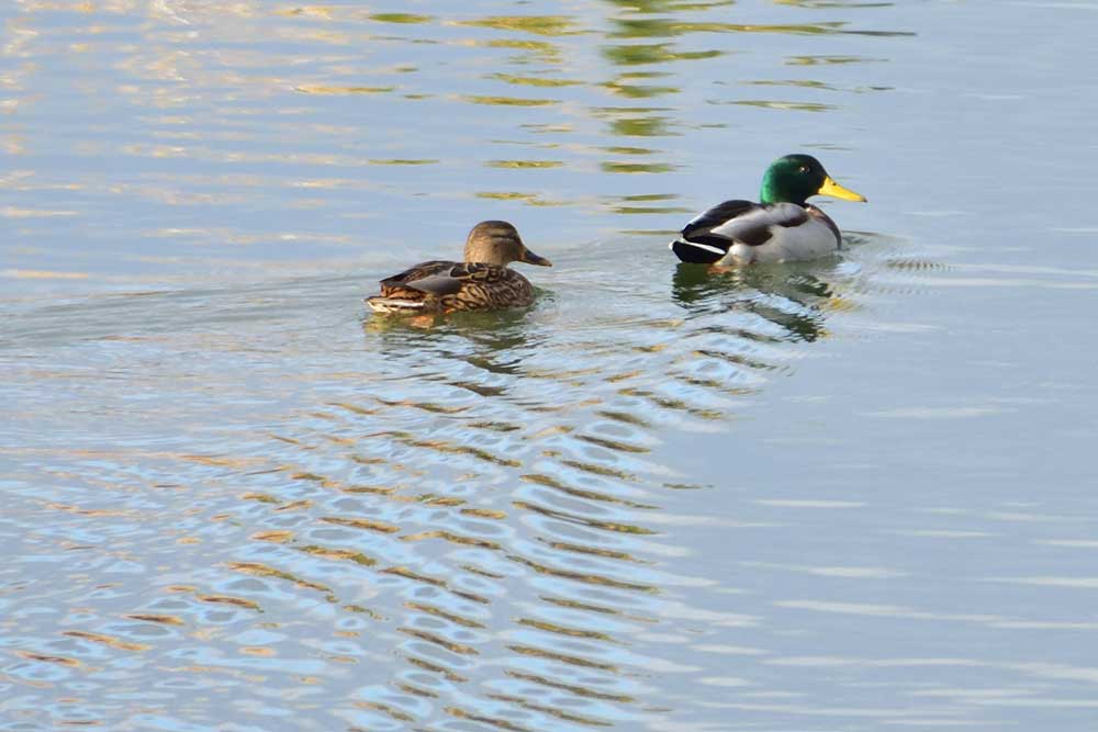 令和4年1月のイベント情報 : 海岸公園センターハウス