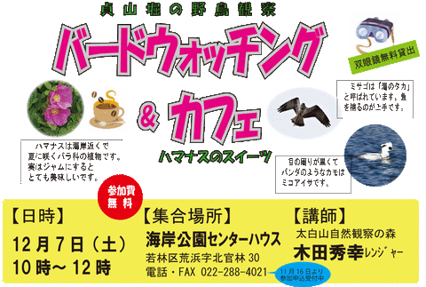 バードウォッティング&カフ