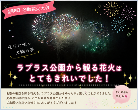 ラプラス公園花火