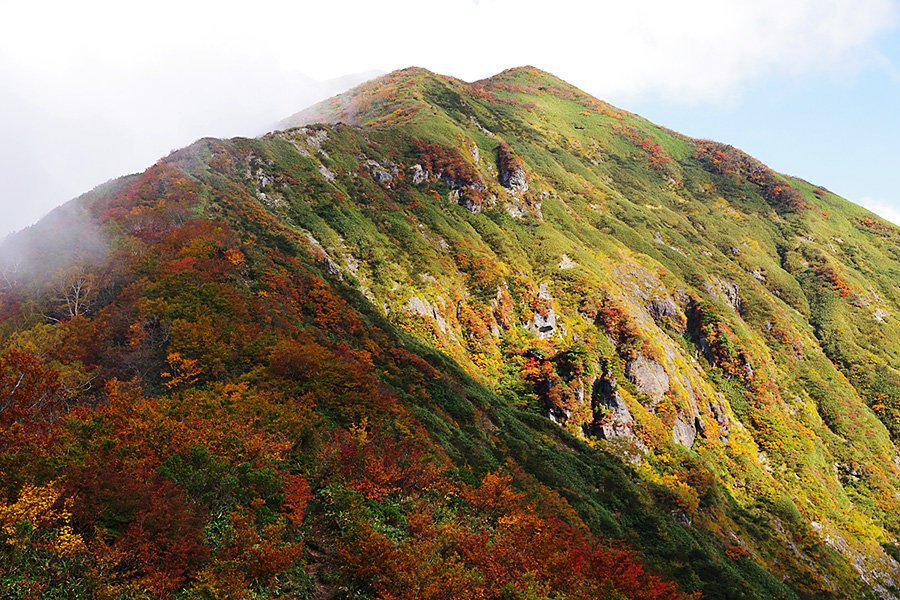 春夏秋冬…−ドラと山−紅葉の一ノ倉・茂倉岳コメント                KitaNoboru