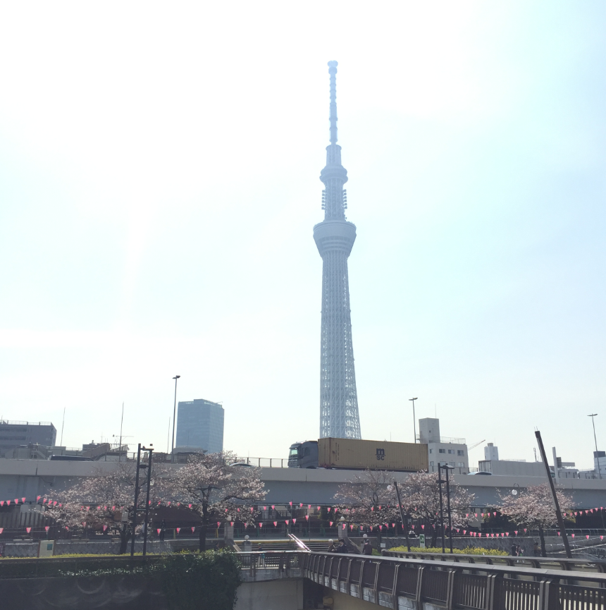 スカイツリー0007景 花 武島羽衣 スカイツリー百景 スカイツリー0007景 花 武島羽衣 スカイツリー百景