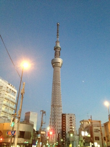 写真tst