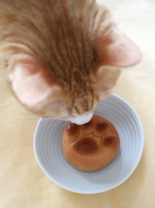 ���󤹤󤹤�