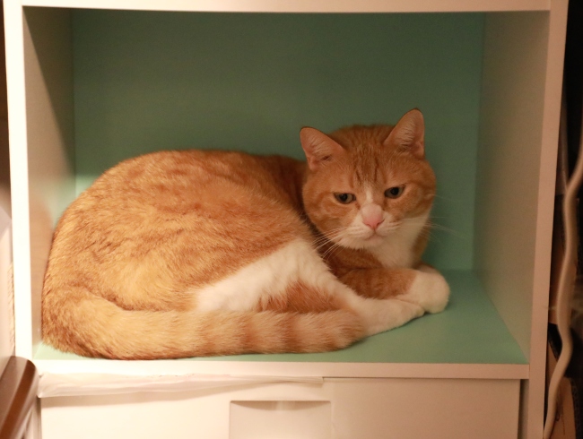 ��������