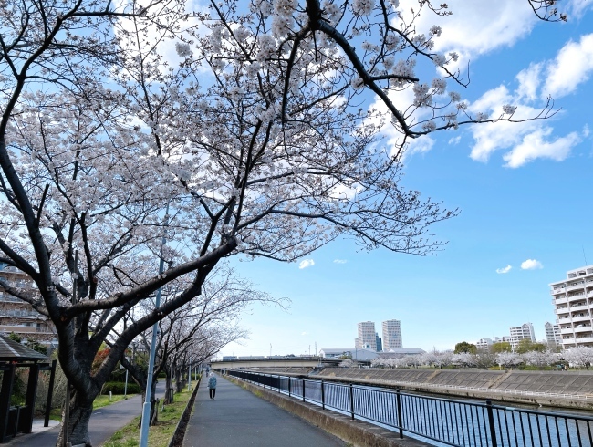 ºùÊÂÌÚ¡÷±º°Â ºùÊÂÌÚ¡÷±º°Â