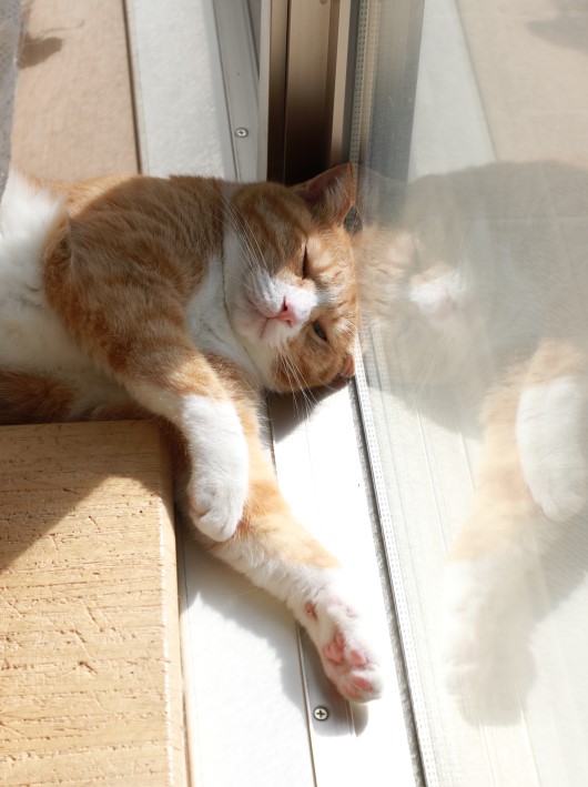 ¤à¤Õ¡Á¢ö ¤à¤Õ¡Á¢ö