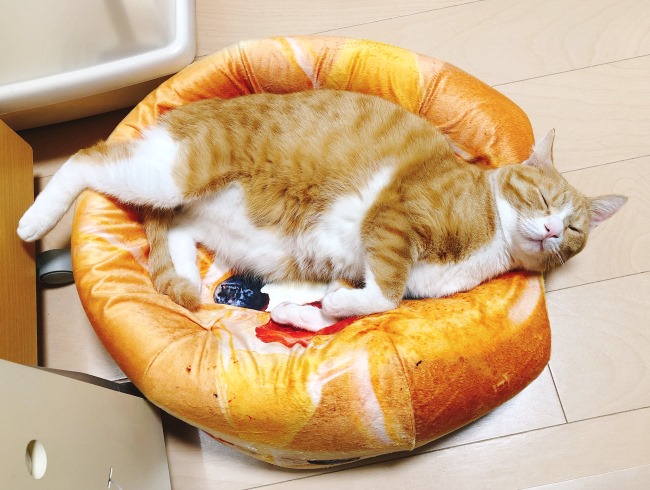 ���䡼��
